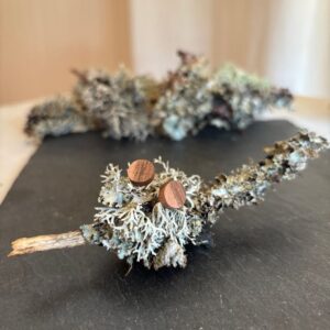 Boucles d’oreilles NATURE